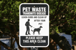 7 Benefits of Hiring a Professional Dog Waste Removal Service
